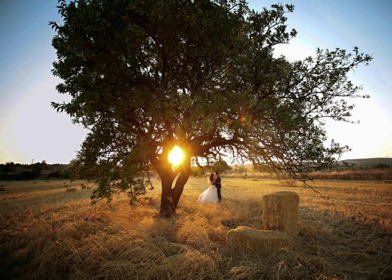 Home pexels ufuk akyuz 16615033 14462931